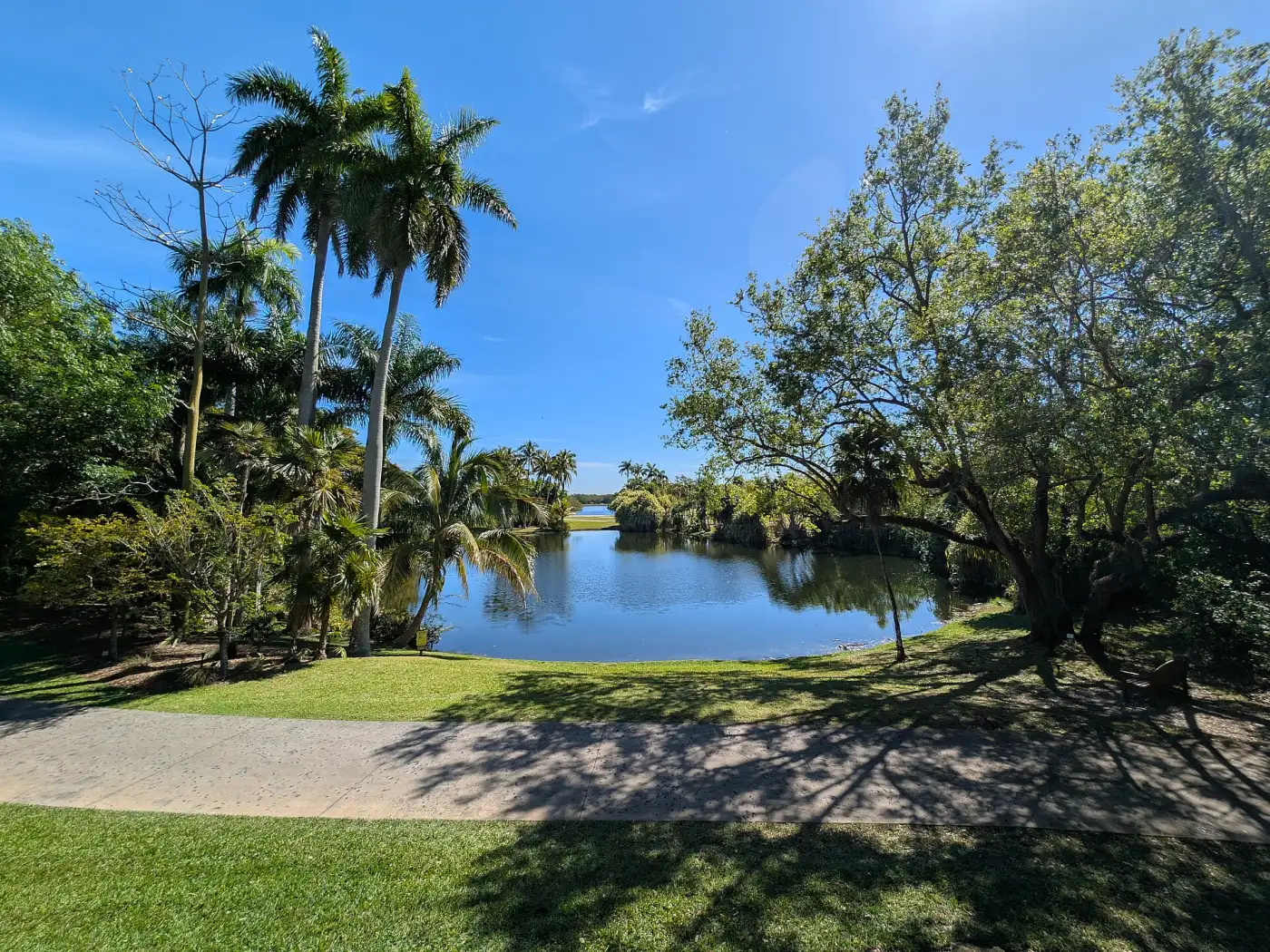 Palms and a lake on the lawns of Fairchild Tropical Botanic Garden on Old Cutler Road, where the Festival of Chocolate is held.