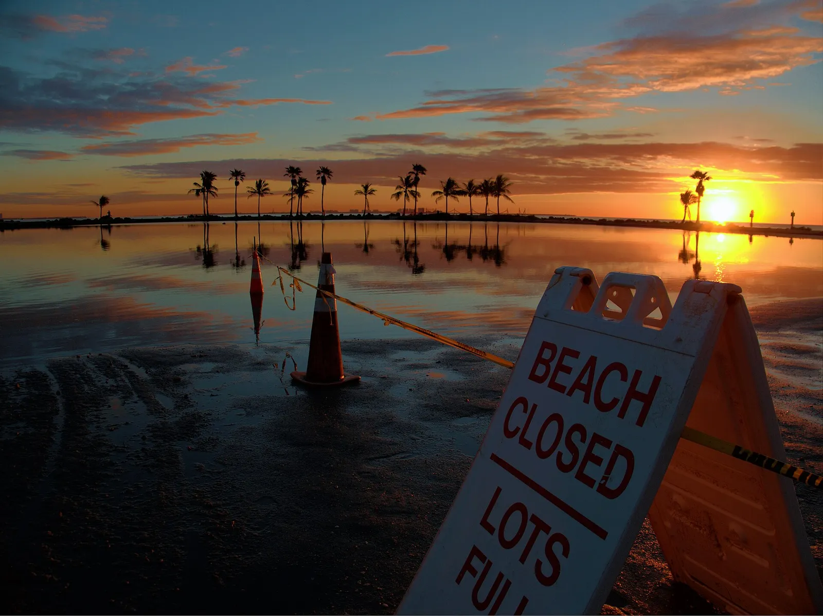 Palms at sunrise in Matheson Hammock Park, about a quarter of a mile south of Gables Estates