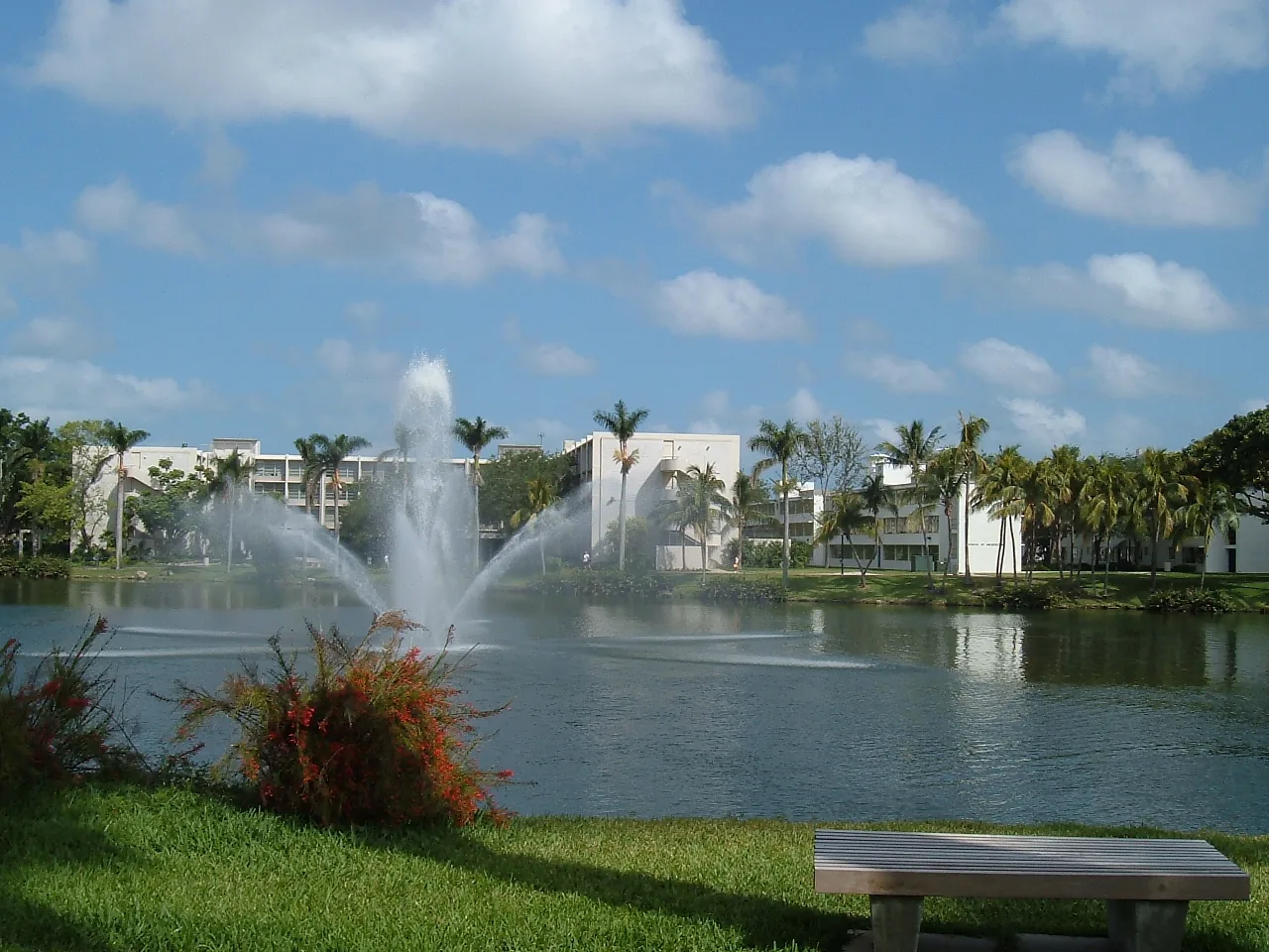 Lake Osceola on the University of Miami's Coral Gables campus, near Henry S. West Laboratory School