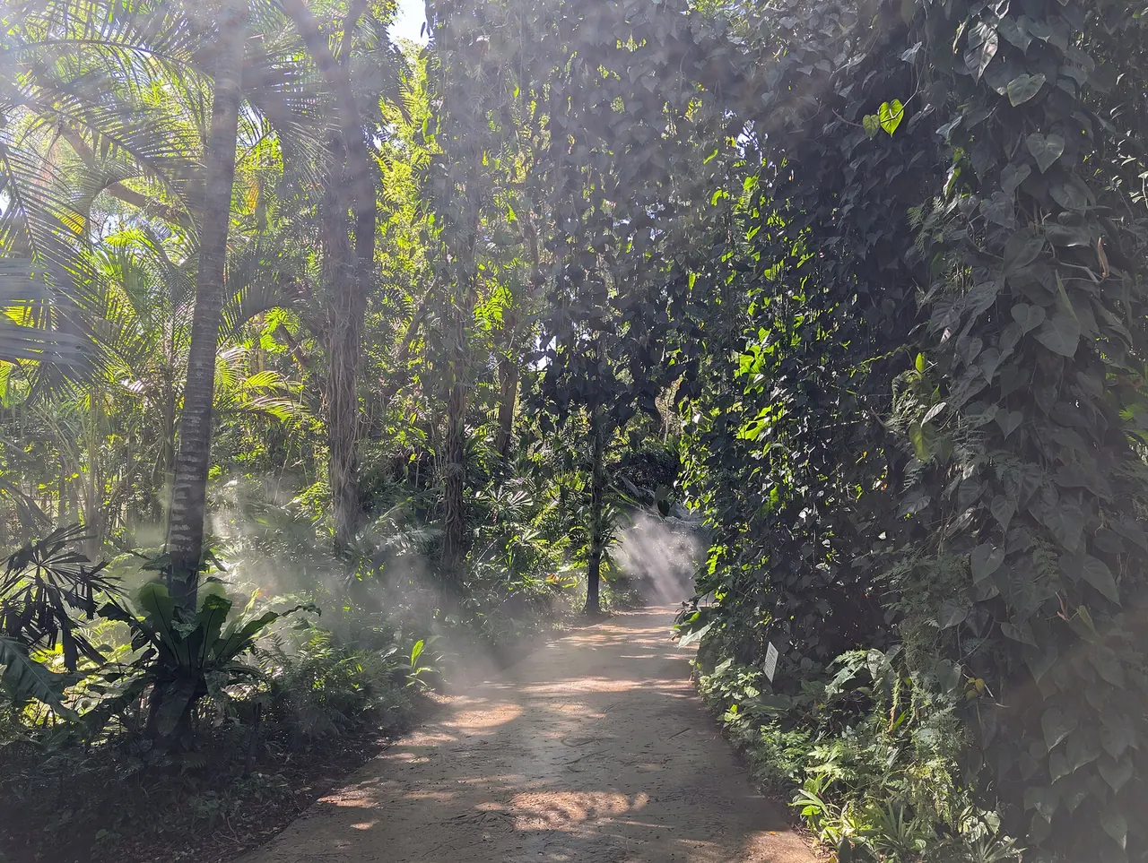 A shaded walking path at Fairchild Tropical Botanic Garden in Coral Gables, where NightGarden runs through the holiday season.