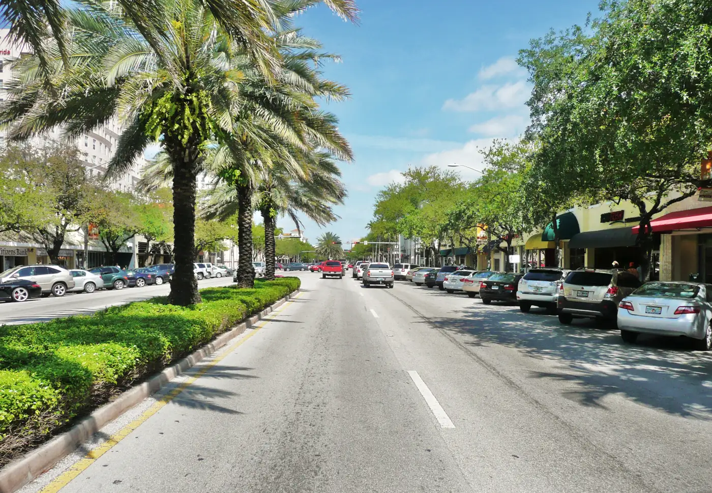 Palm trees and storefronts along Miracle Mile in downtown Coral Gables.
