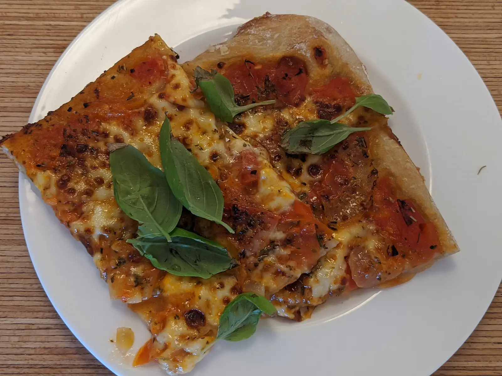 A margherita pizza. The photo was not taken at a Coral Gables restaurant.